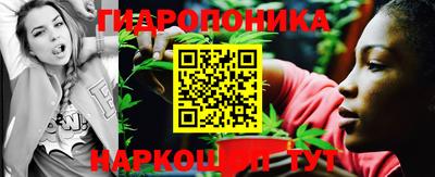 кокс Шебекино