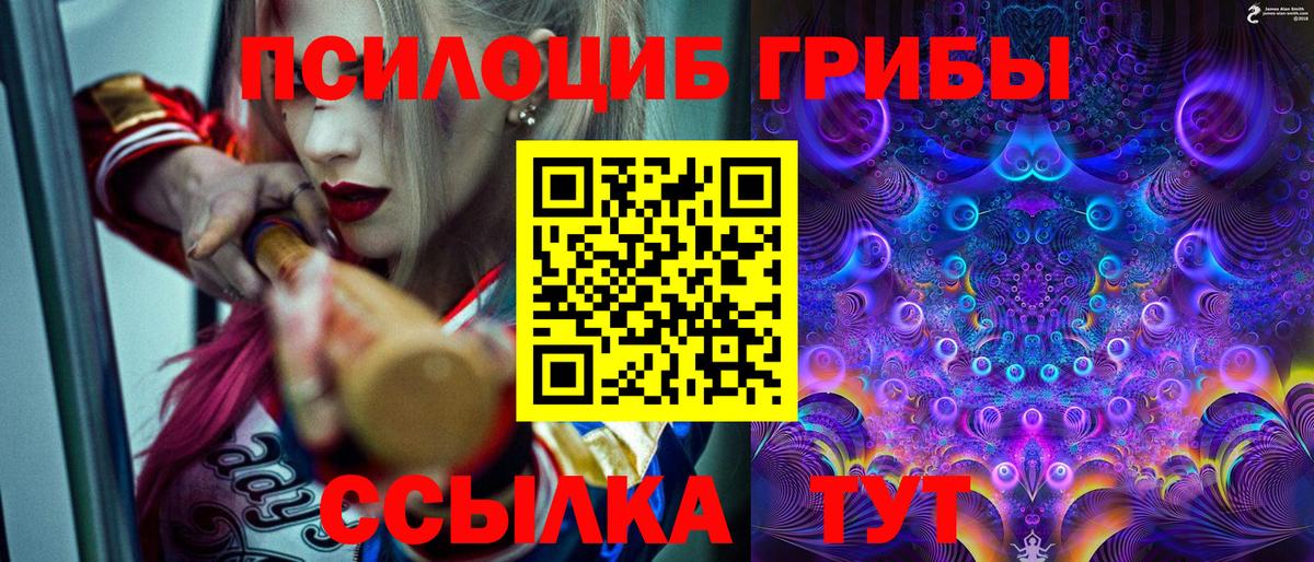 Галлюциногенные грибы Cubensis  Вход с VPN  Псилоцибиновые грибы мицелий  Сунжа 